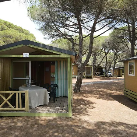 Camping La Tamarissière *