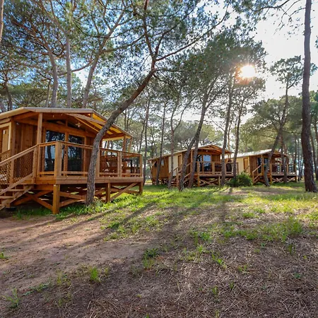Camping La Tamarissiere