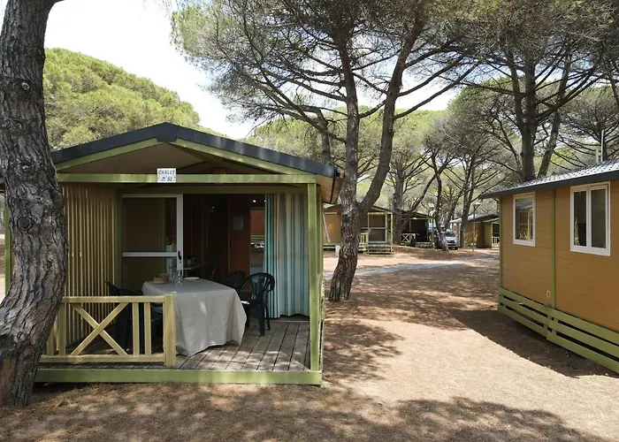 캠프장 La Tamarissiere *