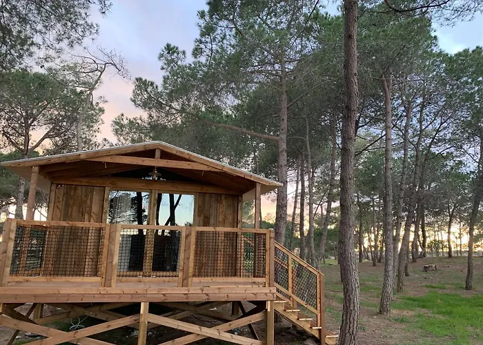 캠프장 La Tamarissiere *