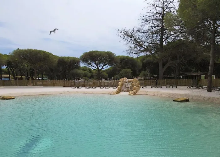 Campsite La Tamarissiere